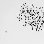 Σταύρος Στρατηγάκος | Τρία ποιήματα