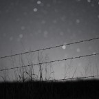 Γρηγόρης Σακαλής | Απραξία