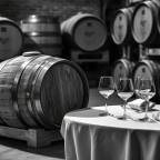 Στέφανος Δάφνης | Ψυχής ιατρείον