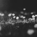 Βάνια Σύρμου | Δύο χαϊκού για την υποδοχή της Άνοιξης