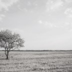 Κώστας Τσιούφης |  μια υπερβατική διαδρομή