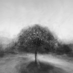 Γιώργος Δουατζής | Τα όνειρα