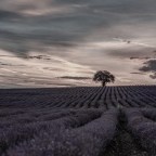 Έφη Χρυσού | Απρίλιος