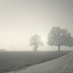 Αργύρης Φυτάκης | Τοπίο στην ομίχλη