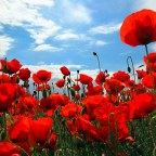 Άγγελος Ερατεινός | Περίπτυξη