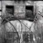 Αλεξία Καλογεροπούλου |  Εκκρεμότητα