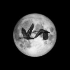 Κώστας Τσιούφης |  Το άρρητο μηδέν