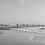 Δημήτρης Παπαλιάς | Έτερον εκάτερον