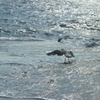 Δημήτρης Καρπέτης | Αύγουστος ζεστός, εθιστικός και μελλοθάνατος