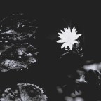 Γιώργος Δουατζής | Πλάνη