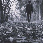 Λίνα Βαταντζή | Ποίηση του φθινοπώρου