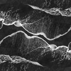 Μιχάλης Κατσιγιάννης | Τέσσερα χαϊκού