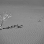 Μαργαρίτα Παπαμίχου | Λειψυδρία