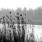 Άγγελος Ερατεινός | Έξι χαϊκού άτακτα, τυχαία