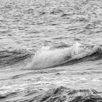 Λίνα Βαταντζή | Σερενάτα πάνω στο κύμα