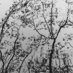 Γιώργος  Σαραντάρης | Φιλίες