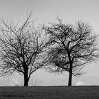 Γιώργος Σεφέρης | 2. Παιδί