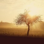 Άγγελος Ερατεινός | Οκτώ χαϊκού άτακτα, τυχαία