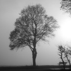 Νίκος Δροσάκης | Αποκαθήλωση