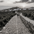 Γρηγόρης Σακαλής | Αυτοί κι εμείς