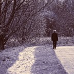 Αργύρης Φυτάκης | Βαθιά στη γη